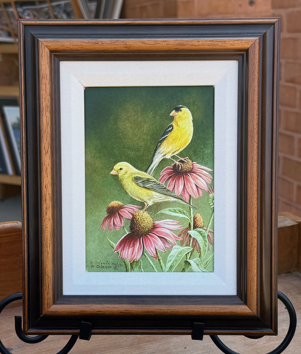 Prints | Side Street Framers & gift gallery